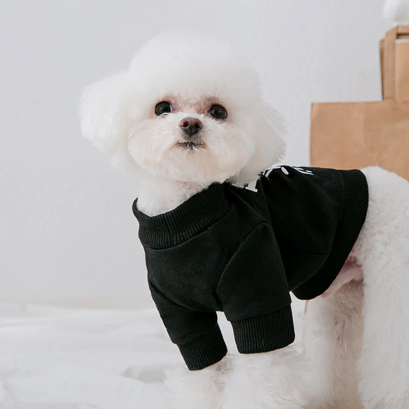 Fashion Dog Bear Printed Sweater - Adorable Canine Style Statement - Image 3