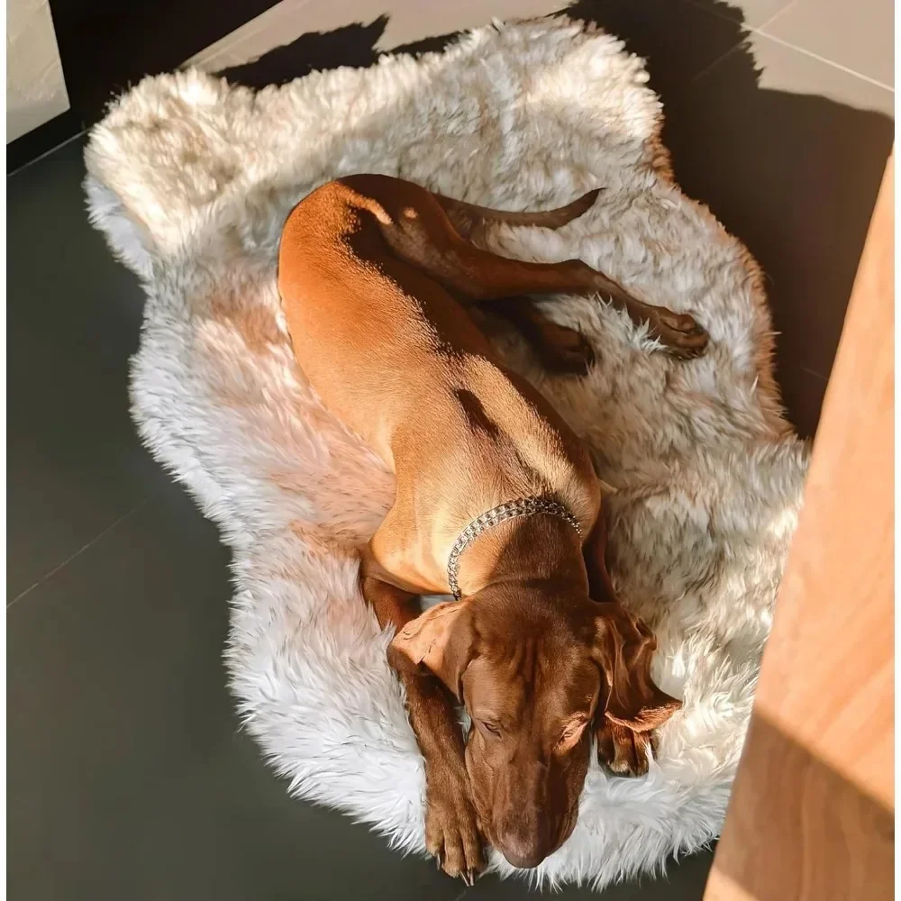 CozyCloud Orthopedic Memory Foam Dog Bed - Image 3