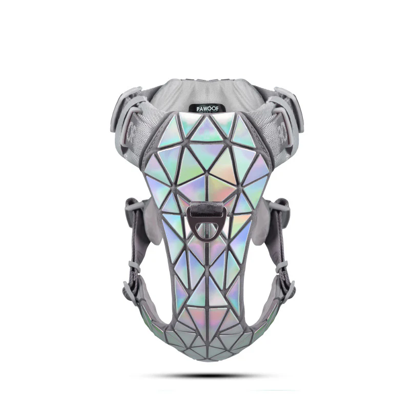 Dog Harness Luxury Shining Collar - Fashionable Pet Walking Accessories - Image 4