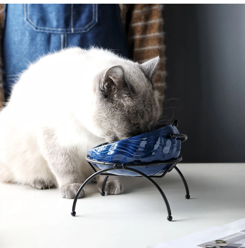 Fancy Pet Cat and Dog Bowl: Stylish and Functional Feeding Solution - Image 4